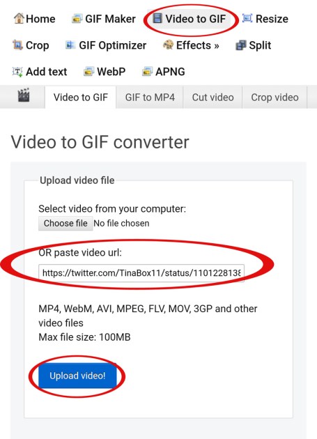  save a GIF from twitter